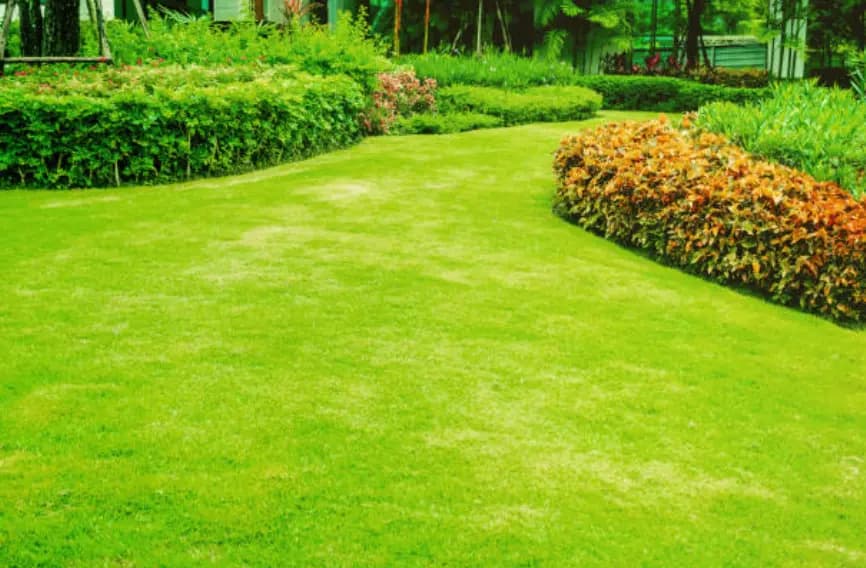 The value of aeration for your lawn